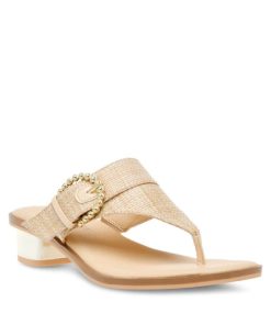 Rivermoss.shop3a7997b6bb 1